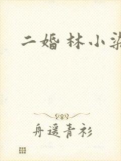 二婚 林小染