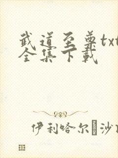 武道至尊txt全集下载
