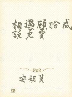 相遇顾盼成欢小说免费