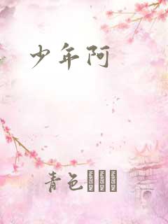 少年阿