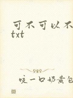 可不可以不嫁人txt