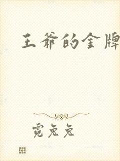 王爷的金牌暗卫