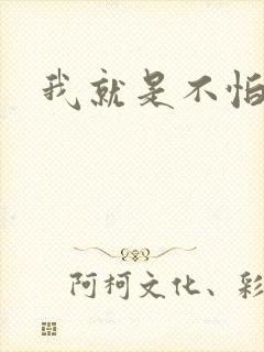 我就是不怕小说