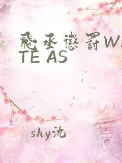 飞丞惩罚WRITE AS