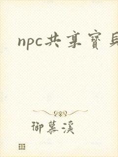 npc共享宝贝