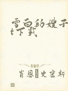 雪白的嫂子txt下载