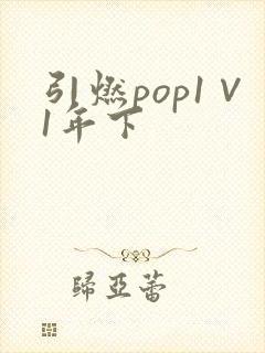 引燃pop1∨1年下