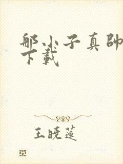 那小子真帅小说下载