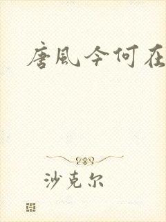 唐风今何在