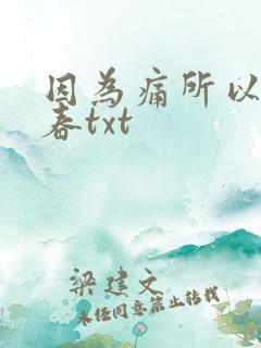 因为痛所以叫青春txt