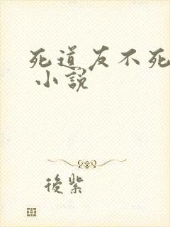 死道友不死贫道 小说