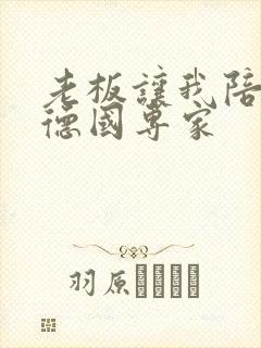 老板让我陪两个德国专家