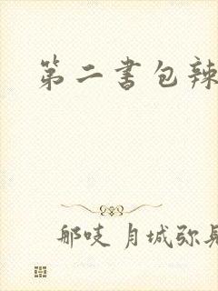 第二书包辣文