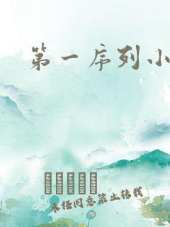第一序列小说