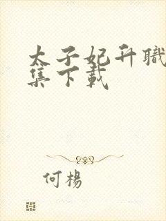 太子妃升职记全集下载