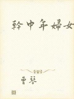 干中年妇女小说