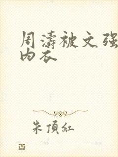 周涛被文强睡后内衣