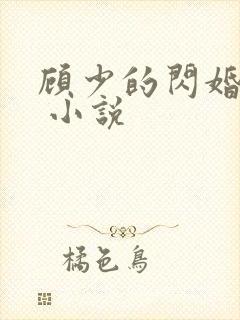 顾少的闪婚宠妻 小说