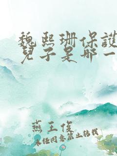 魏熙珊保护萧峥儿子是哪一集