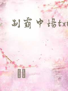 制霸中场txt