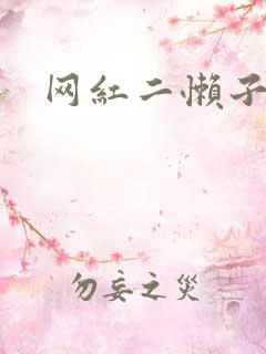 网红二懒子车祸