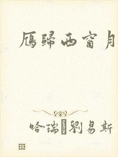 雁归西窗月小说