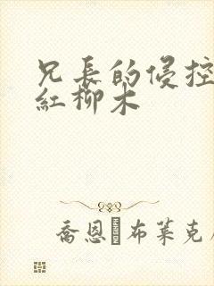 兄长的侵控by红柳木