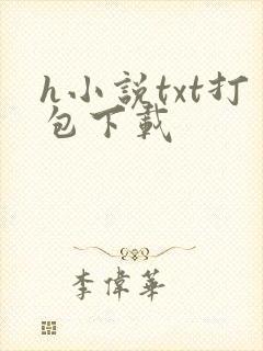 h小说txt打包下载