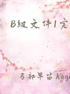 B级文件1完整