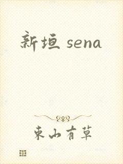 新垣 sena