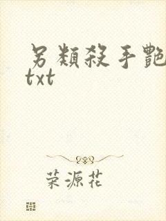 另类杀手艳福星txt