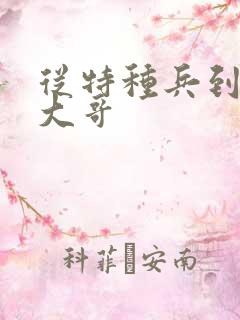 从特种兵到黑道大哥