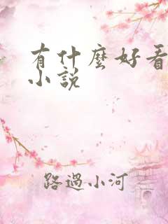 有什么好看的h小说