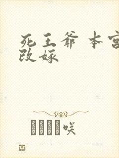 死王爷 本宫已改嫁