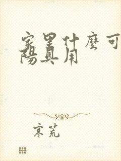 家里什么可以当阳具用