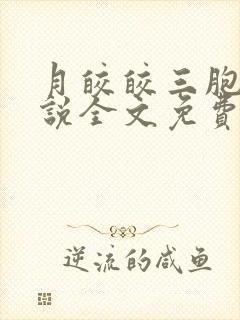 月皎皎三胞胎小说全文免费阅读