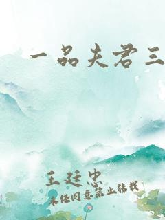 一品夫君三流妻