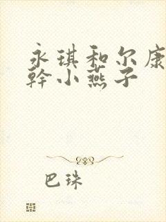 永琪和尔康一起干小燕子