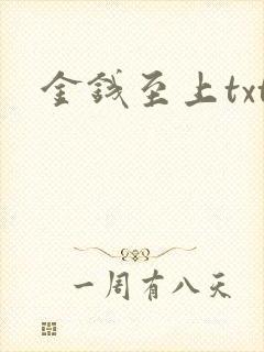 金钱至上txt