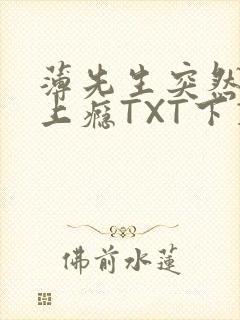 薄先生突然黏她上瘾TXT下载