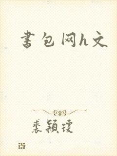 书包网h文