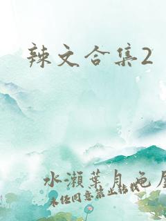 辣文合集2