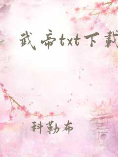 武帝txt下载