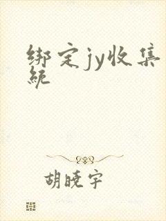 绑定jy收集系统