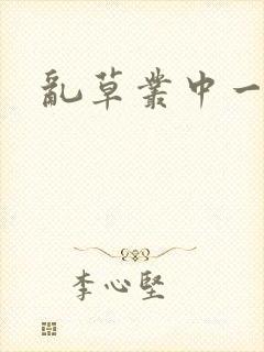 乱草丛中一杆枪