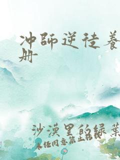 冲师逆徒养成手册