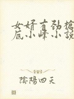 女婿有劲枪枪到底小峰小说