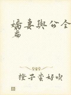 娇妻与公全集长篇