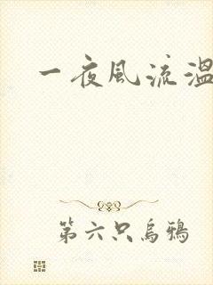 一夜风流温暮生