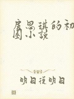 房思琪的初恋乐园小说